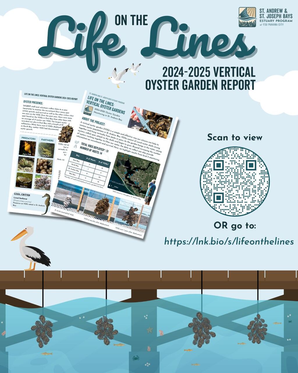 Life on the Lines Report