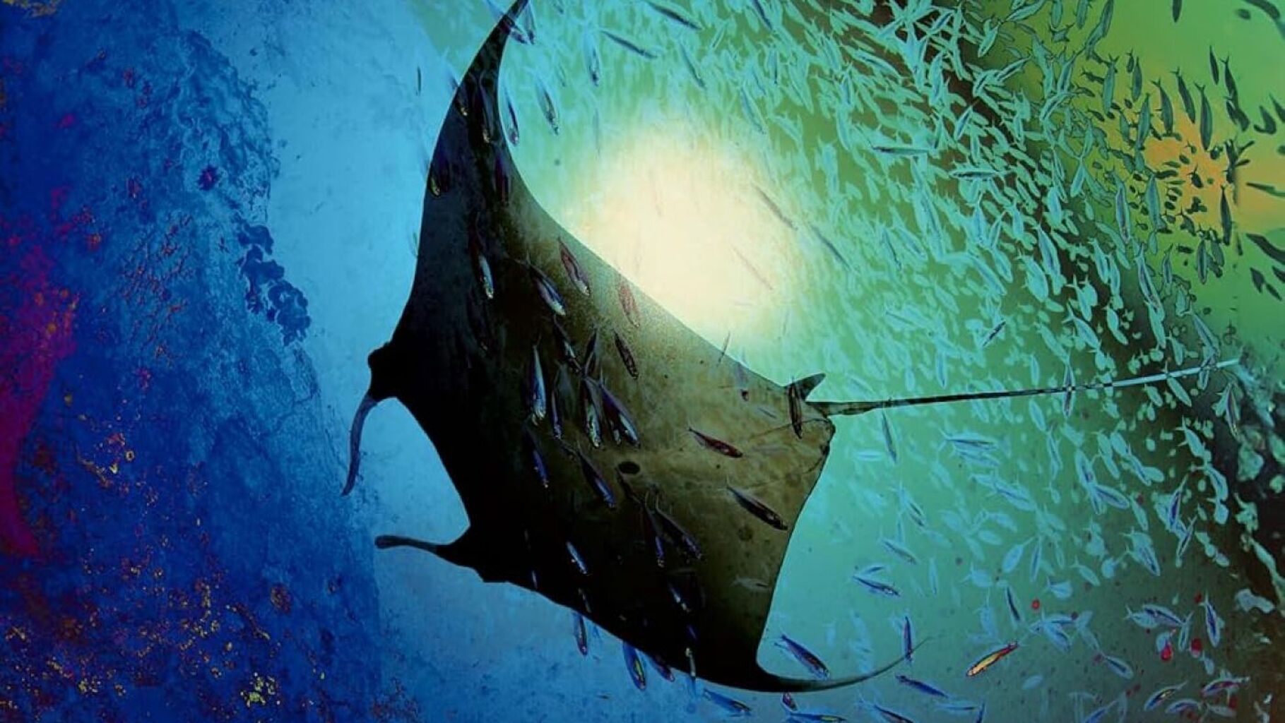 Playground by Richard Powers