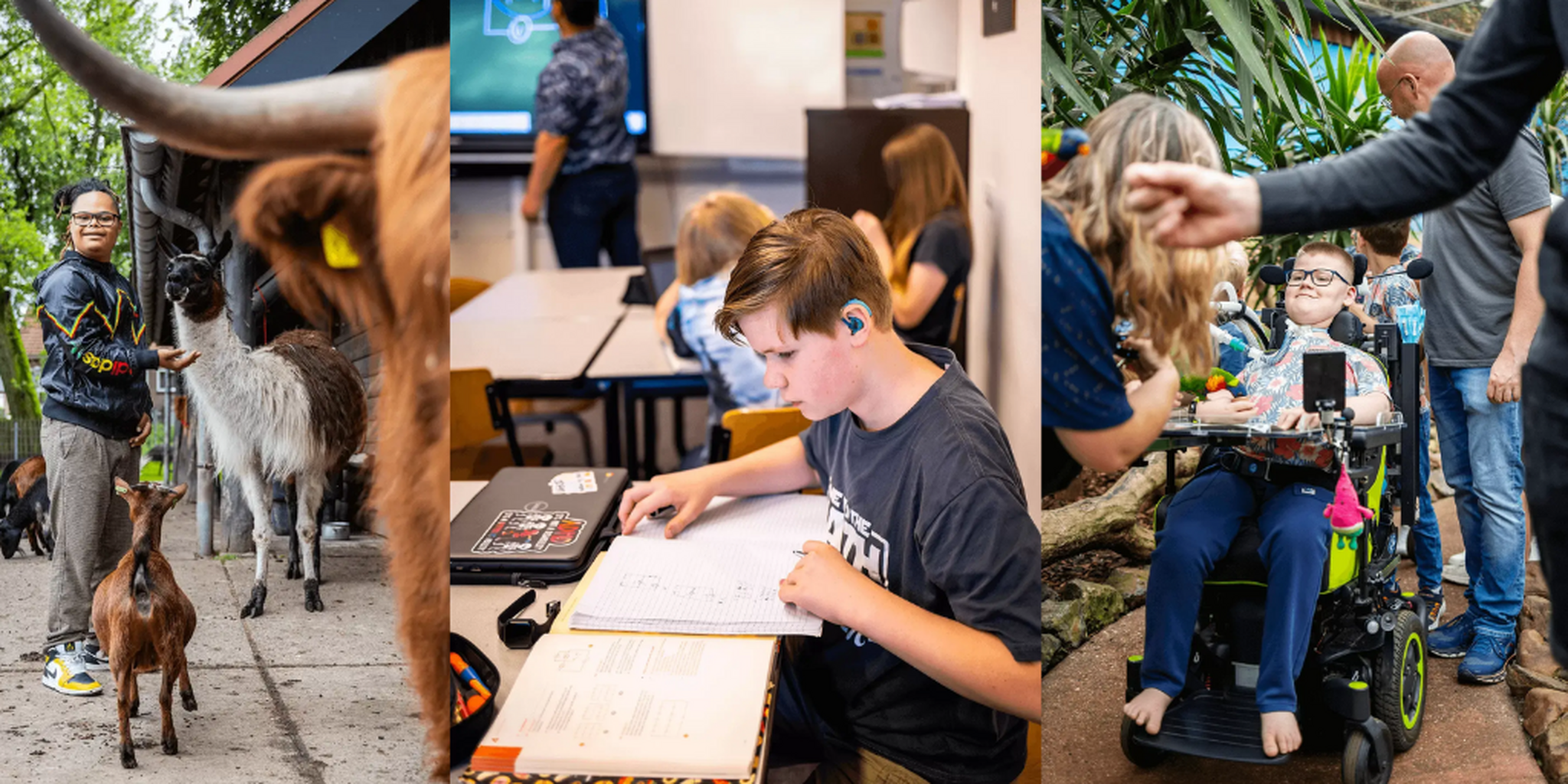 Oproep op Internationale Dag voor Mensen met een Beperking
