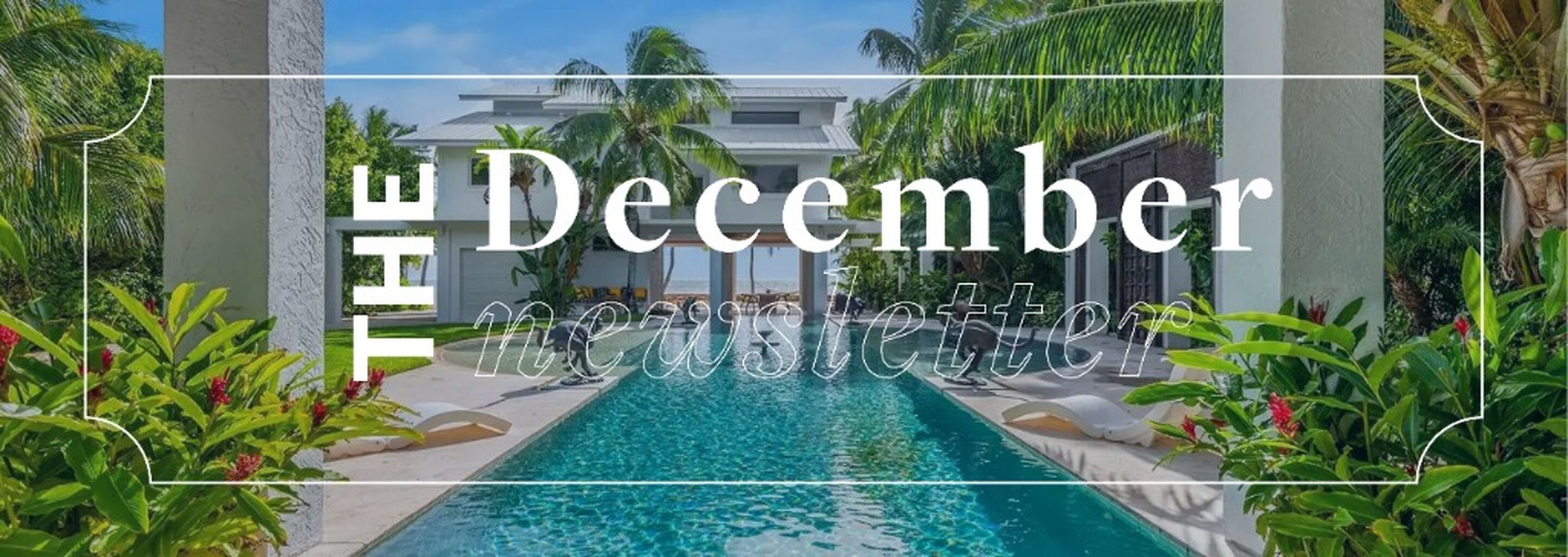  Dec. '25 Newsletter | The magic of the Keys