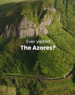 Site 
