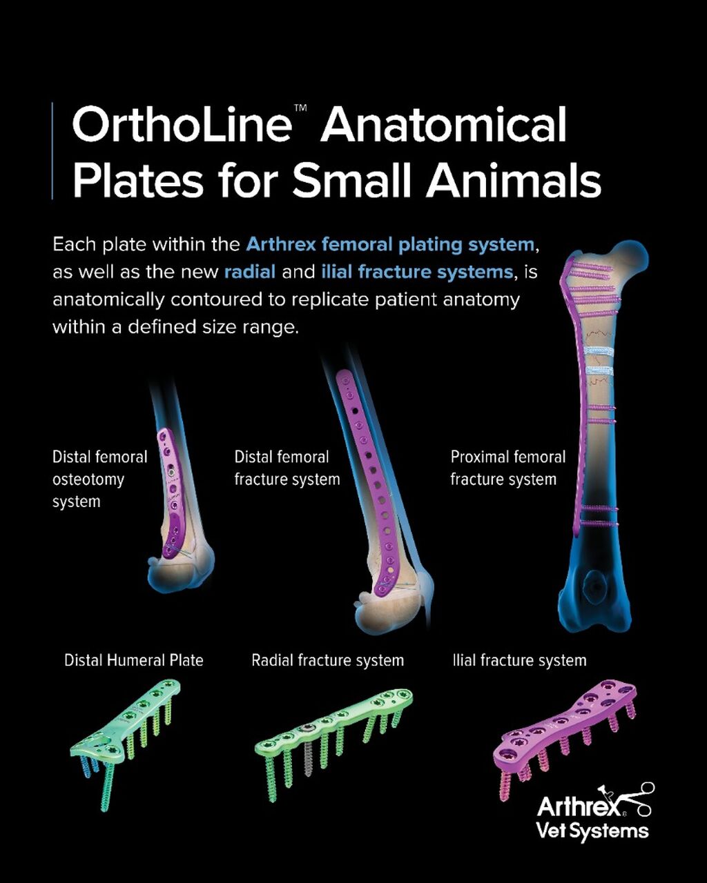 OrthoLine&trade; Anatomical Plates for Small Animals