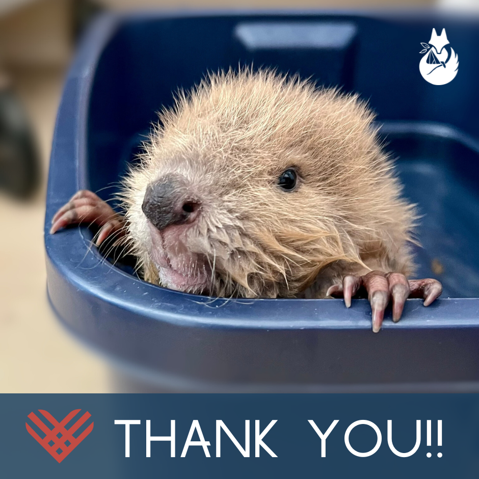 Thank You for an Incredible Giving Tuesday