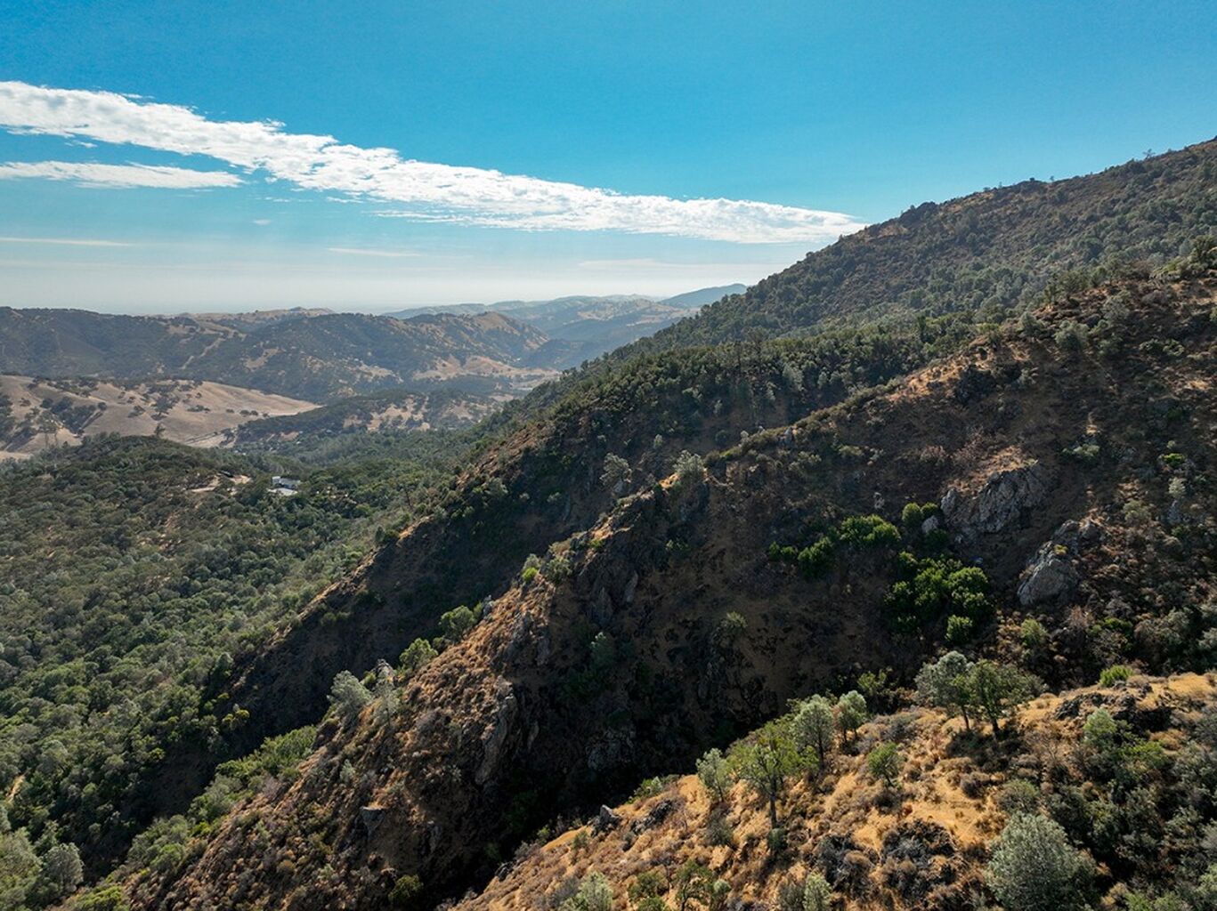 One of the Last Inholdings on Mount Diablo Is Protected by Generous Donation