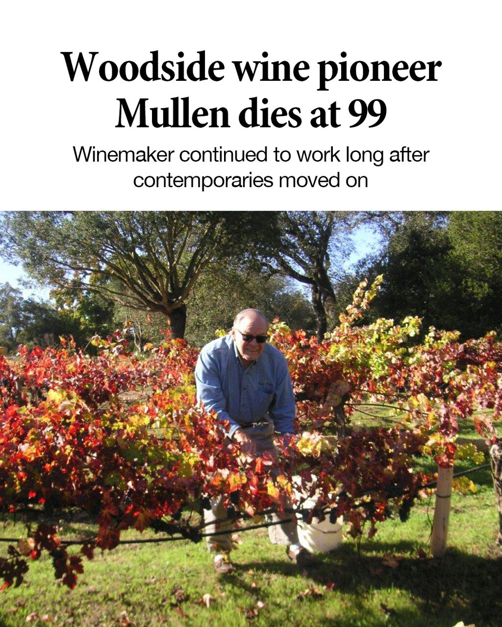Woodside wine pioneer Mullen dies at 99