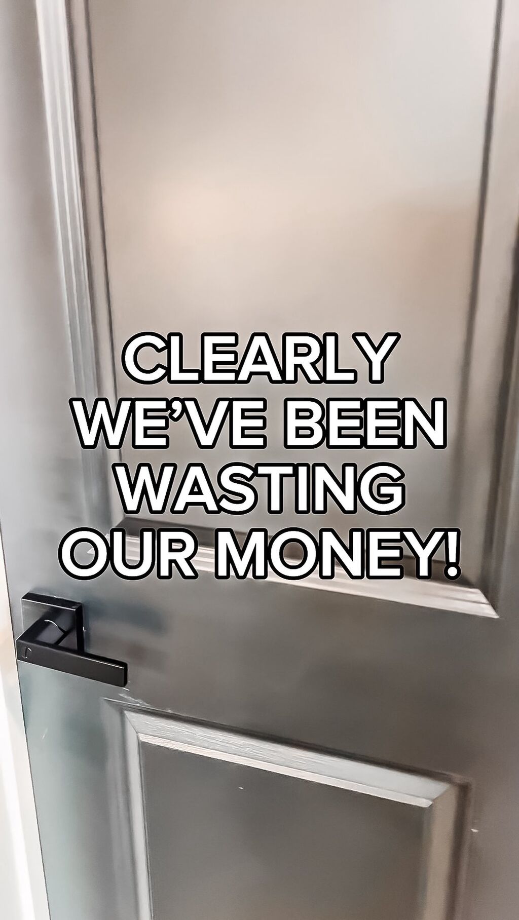 THE EVERYTHING CLEANER