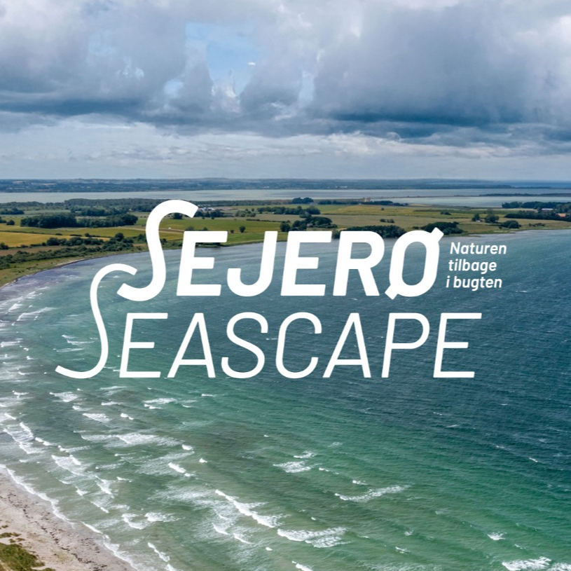 Sejer&oslash; Seascape: F&oslash;lg med i projektet her 💡