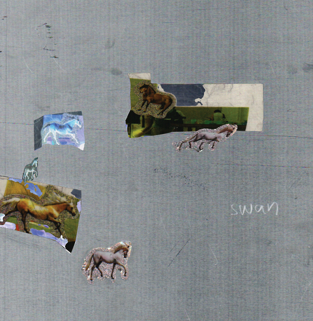 Fazed on a Pony - swan | LP
