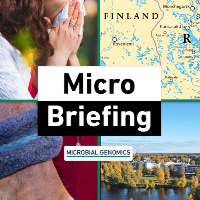 How are allergies linked to our skin microbiomes?