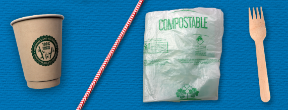 Are plastic alternatives really sustainable? 