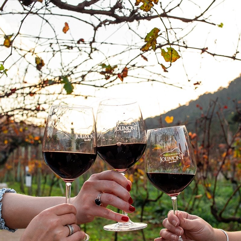 🎟️ Vin&iacute;cola Jolimont - Cupom OVIAJANTE com 10% de Desconto