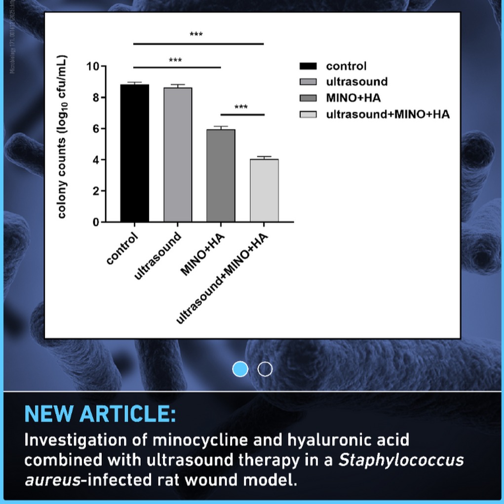 Hyaluronic acid and ultrasound enhance antibiotics