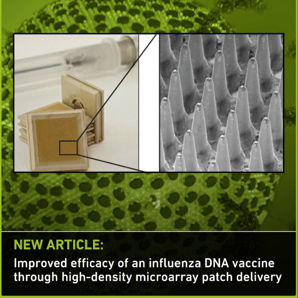 A patch delivery system for DNA vaccines
