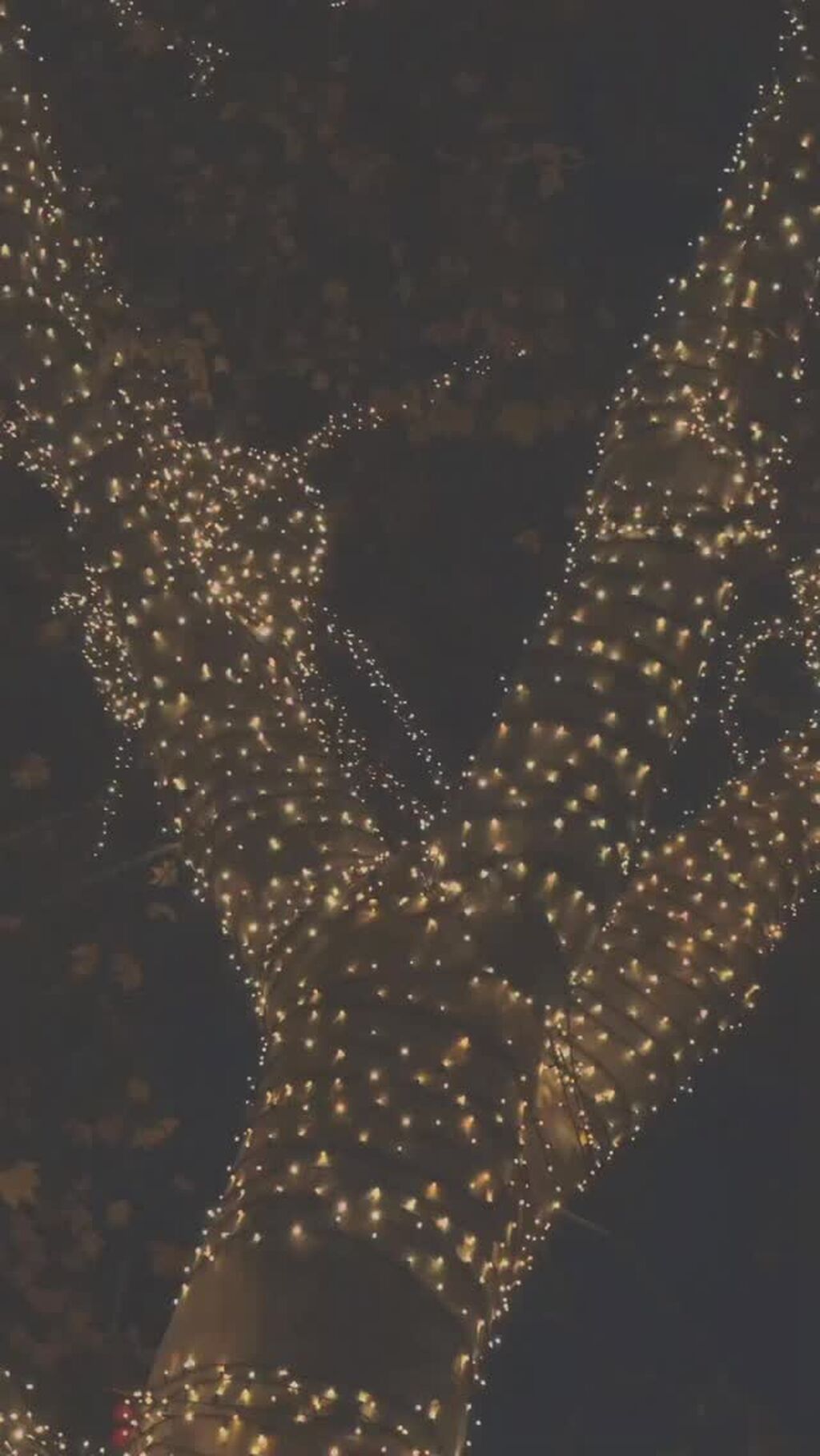 Lights 