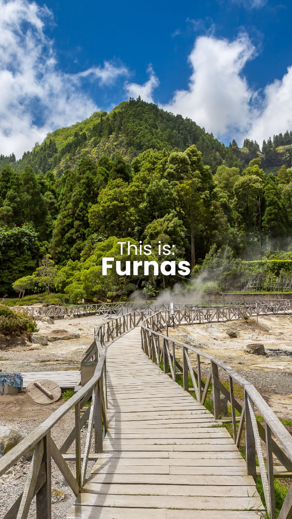 Furnas 