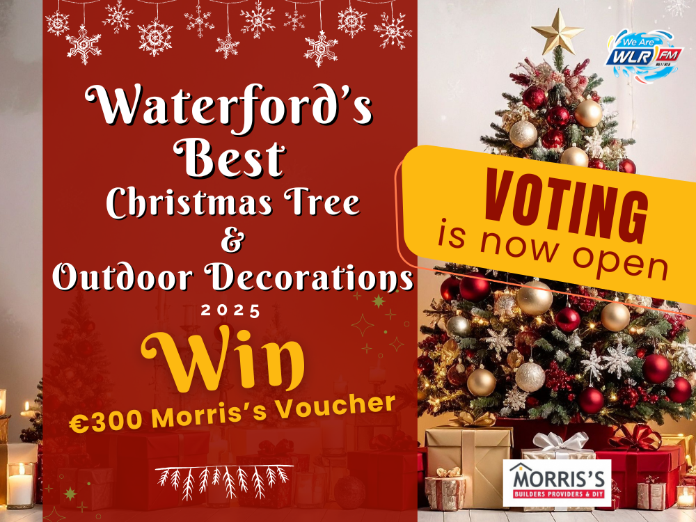 VOTE: Waterford's Best Christmas Tree and Outdoor Decorations