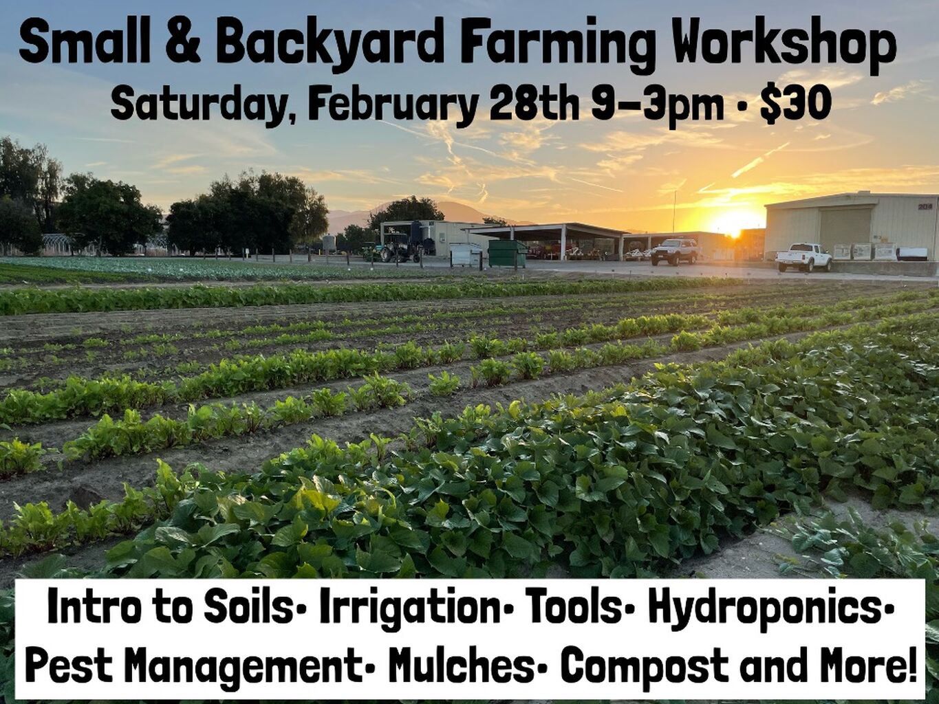 Small & Backyard Farming Workshop