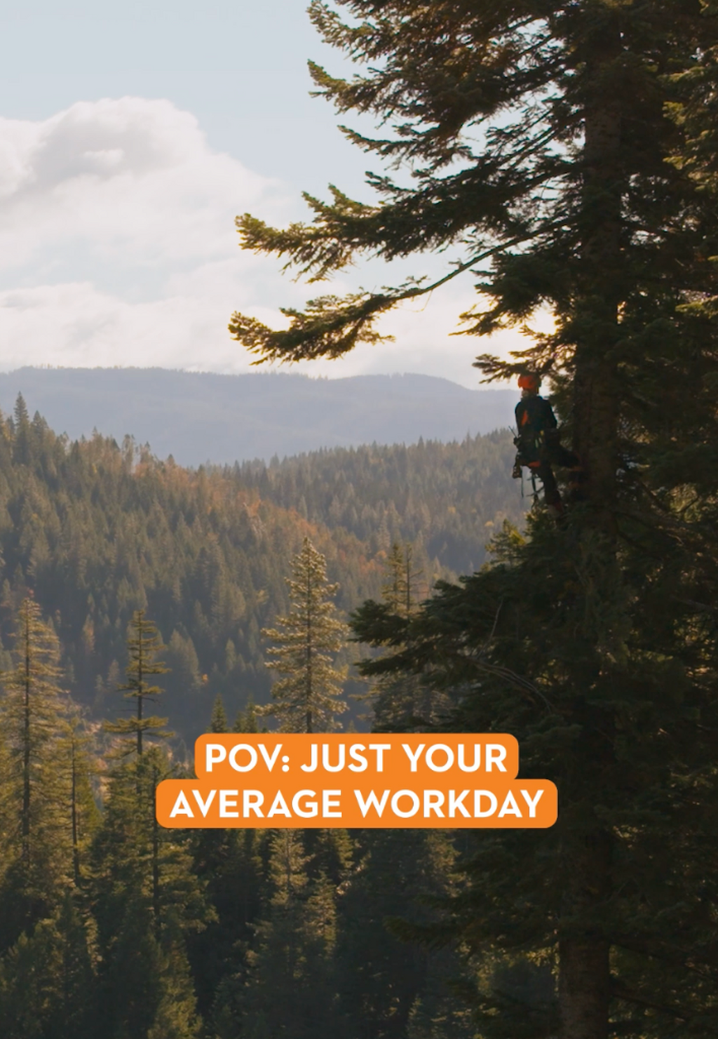 Just Your Average Workday: Tree Feller, Katelyn Johnson