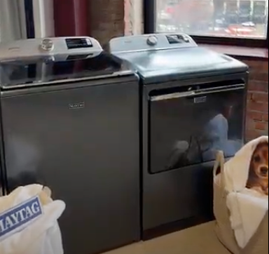 Maytag&reg; Pet Pro System Tailgate Giveaway Official Rules