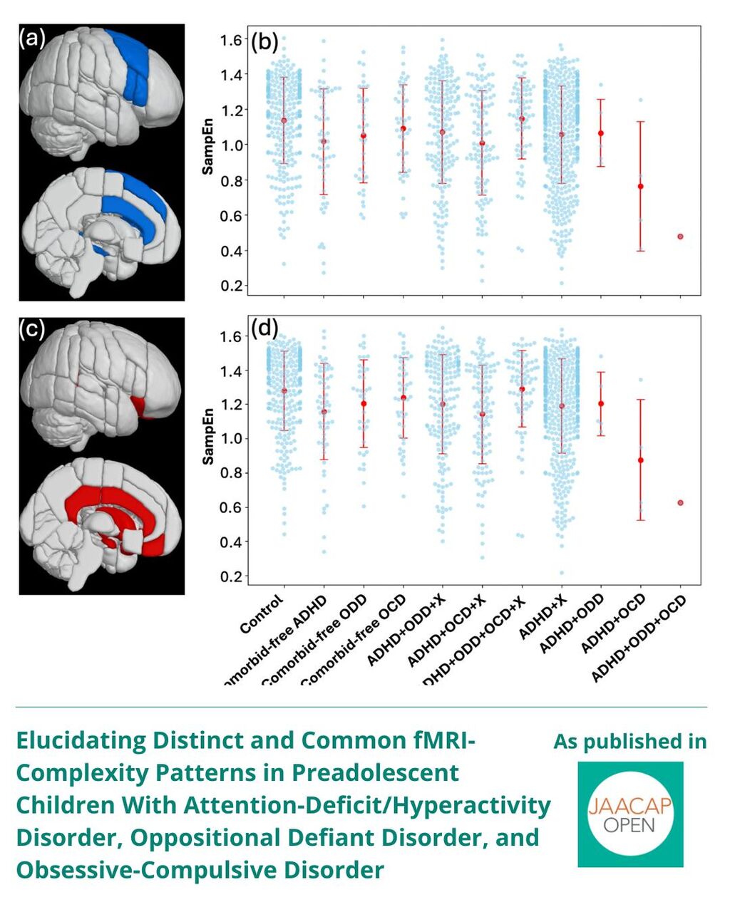JO AIP Elucidating Distinct and Common fMRI-Complexity Patterns