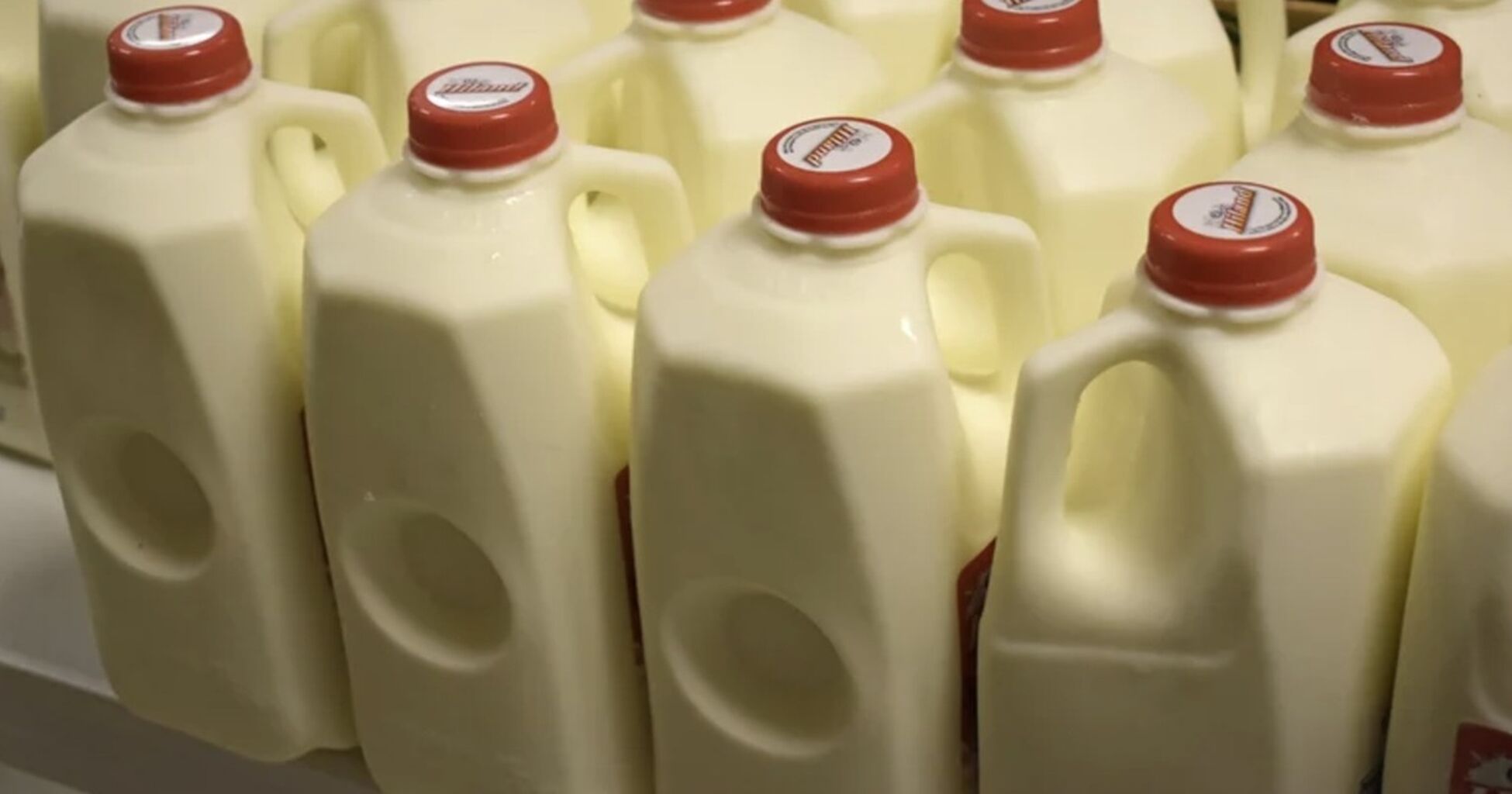 Purpose of the Circular Dent on Milk Jugs