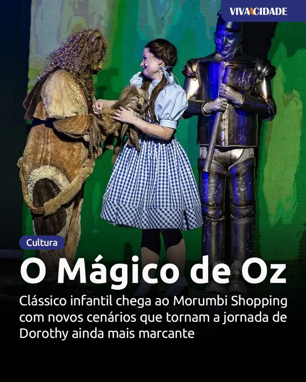 O M&aacute;gico de Oz