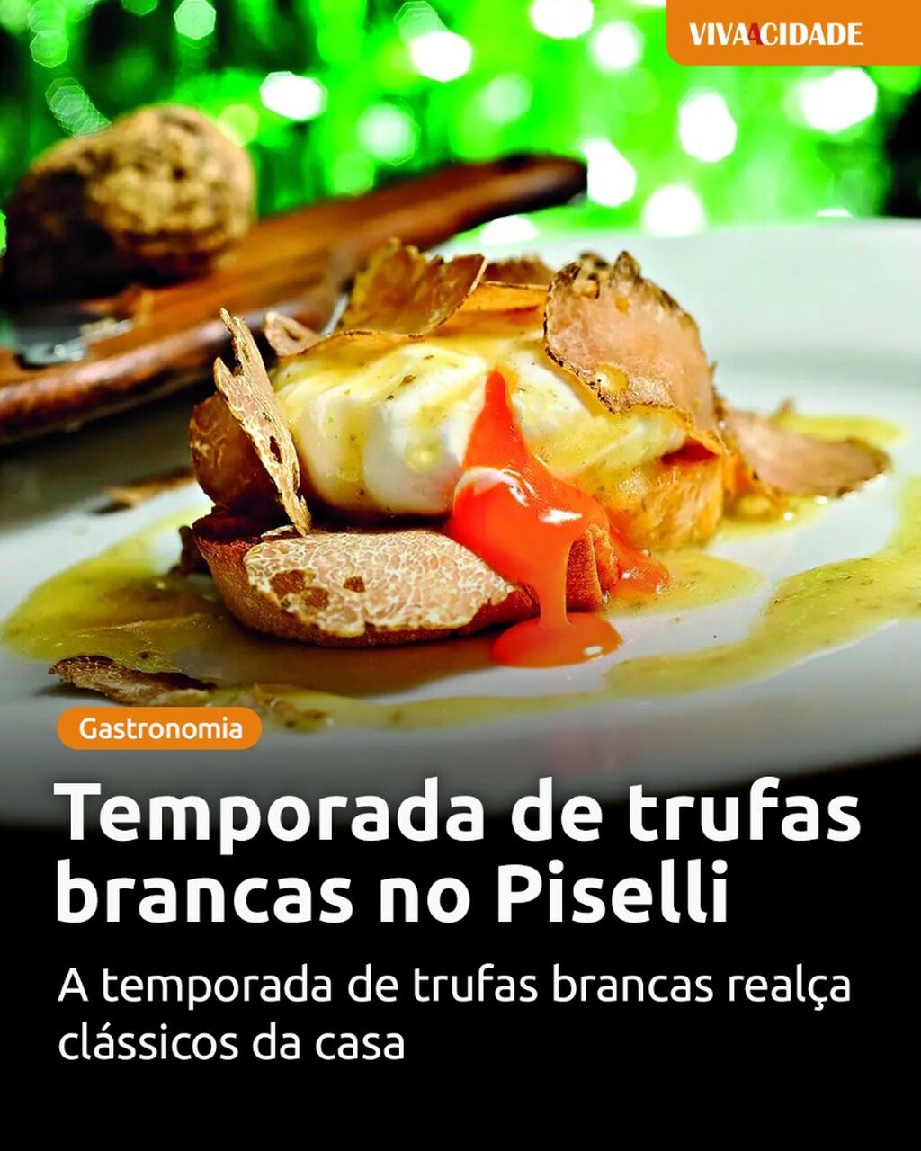 Temporada de trufas brancas no Piselli
