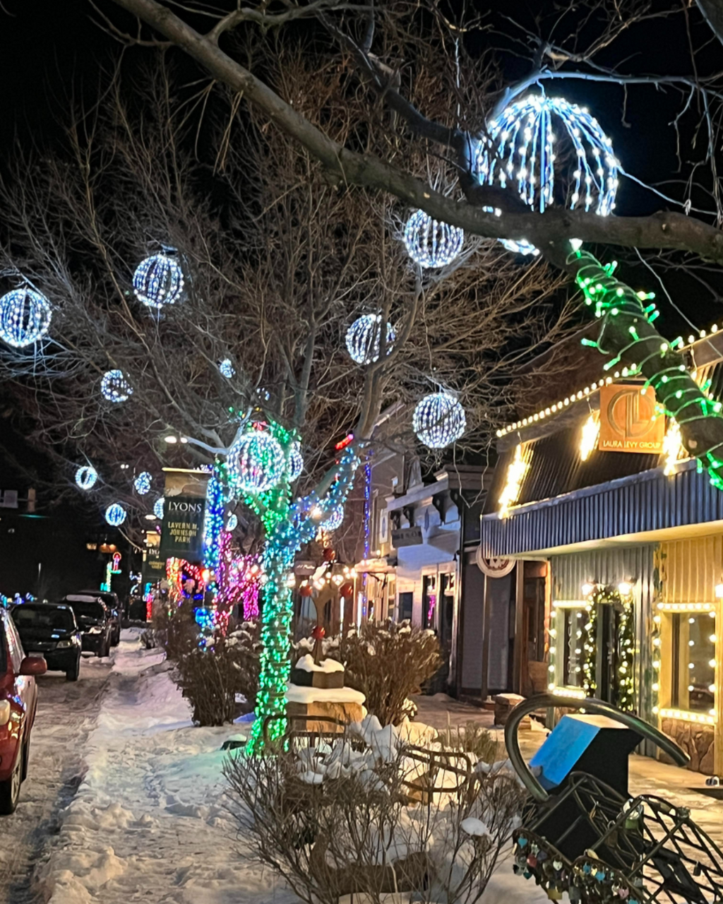 Winter Flavors in Lyons
