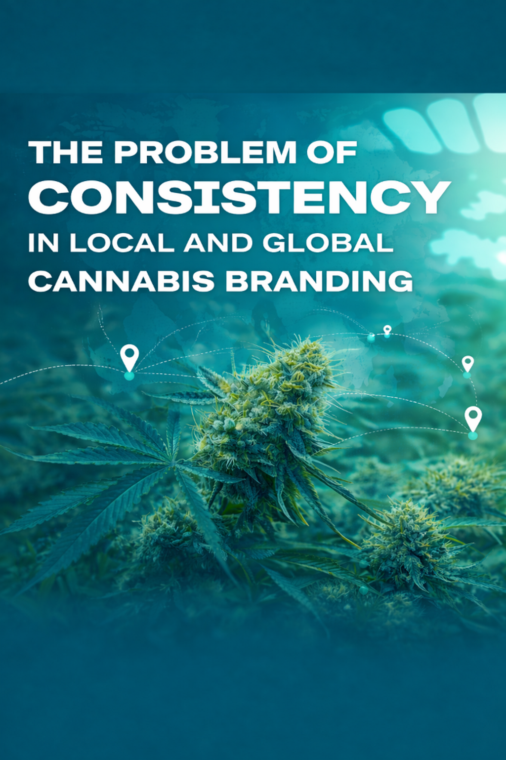 The Problem of Consistency in Local and Global Cannabis Branding