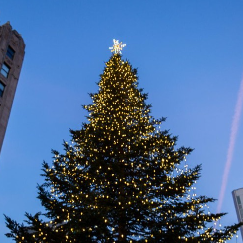 Holiday Shopping Guide