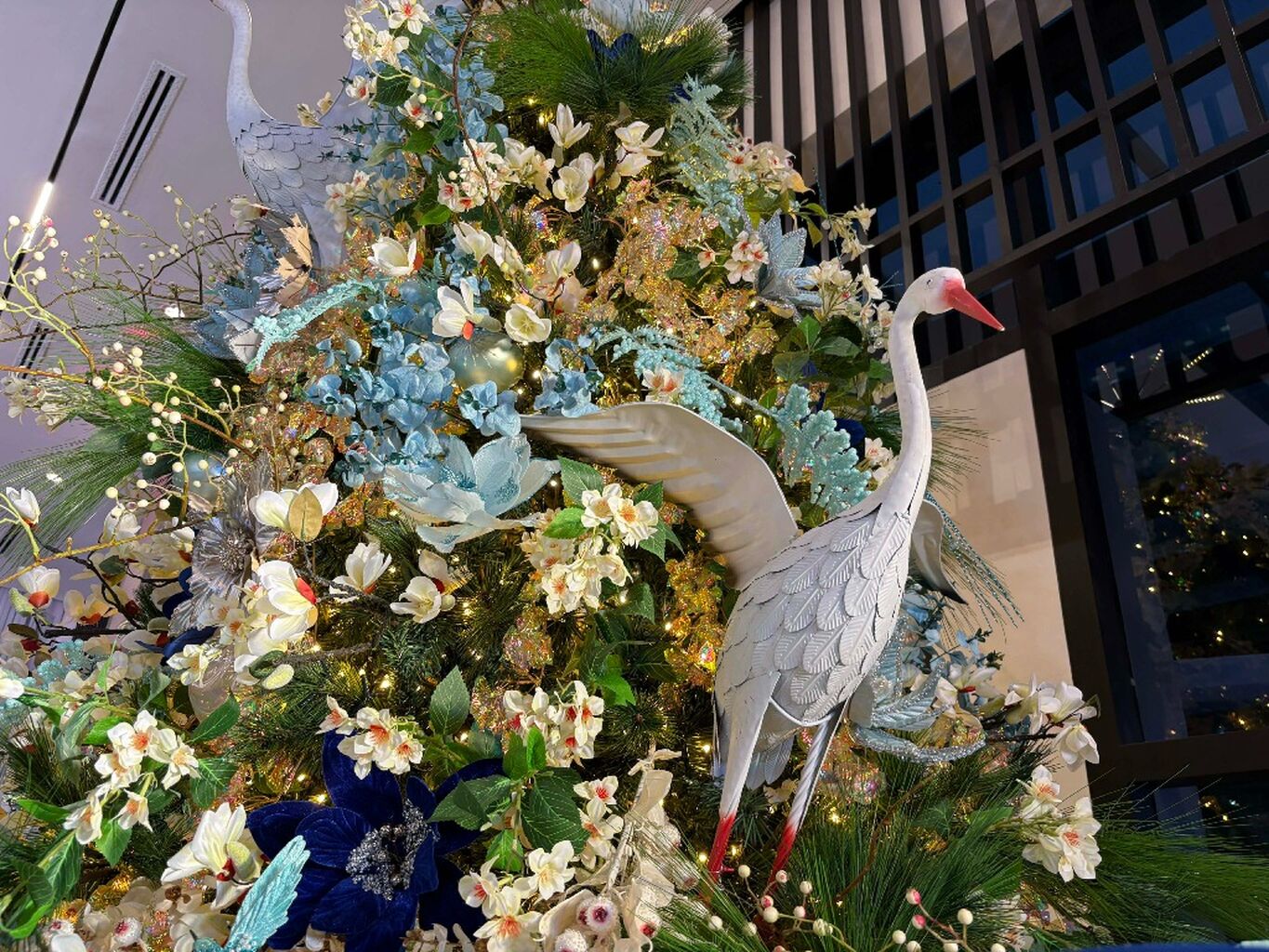 More than just Christmas trees: How shared heritage unites communities this holiday season