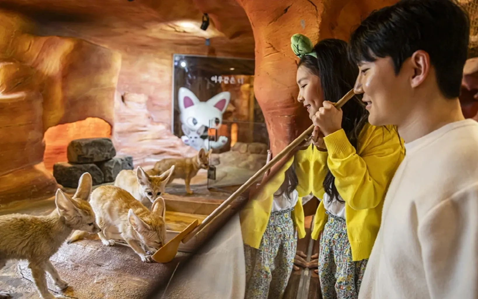 🐾 Seoul Zoolung Zoolung Indoor Animal Theme Park