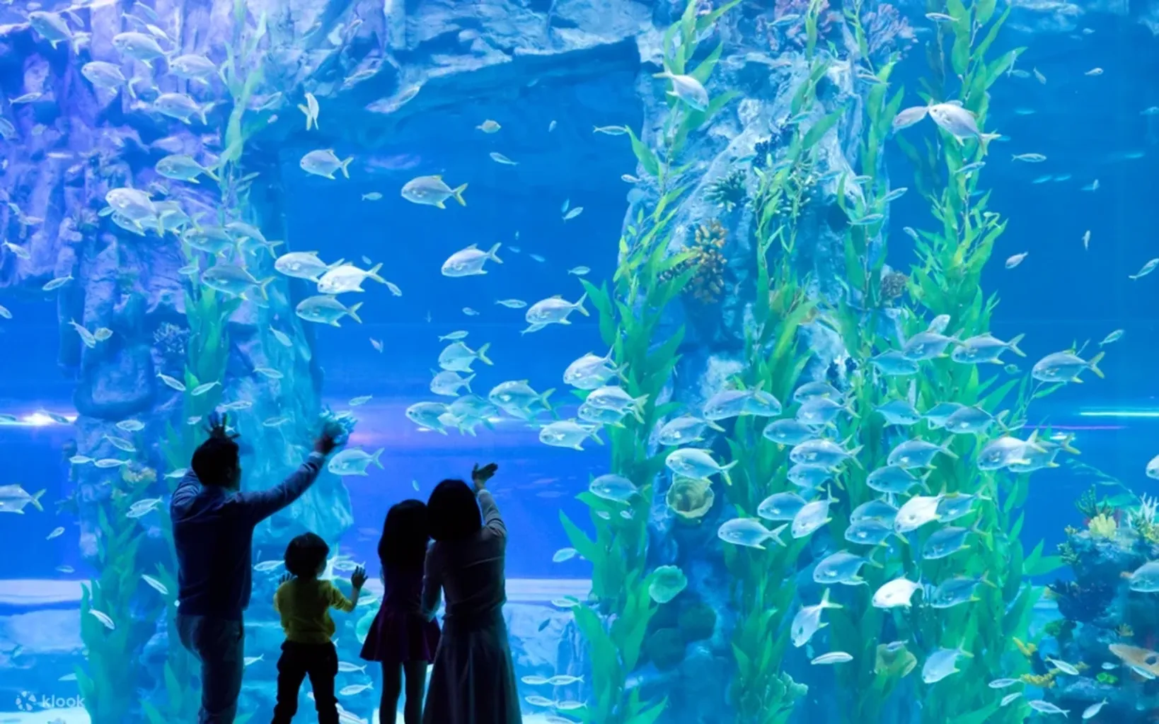 🐠 Lotte World Aquarium 