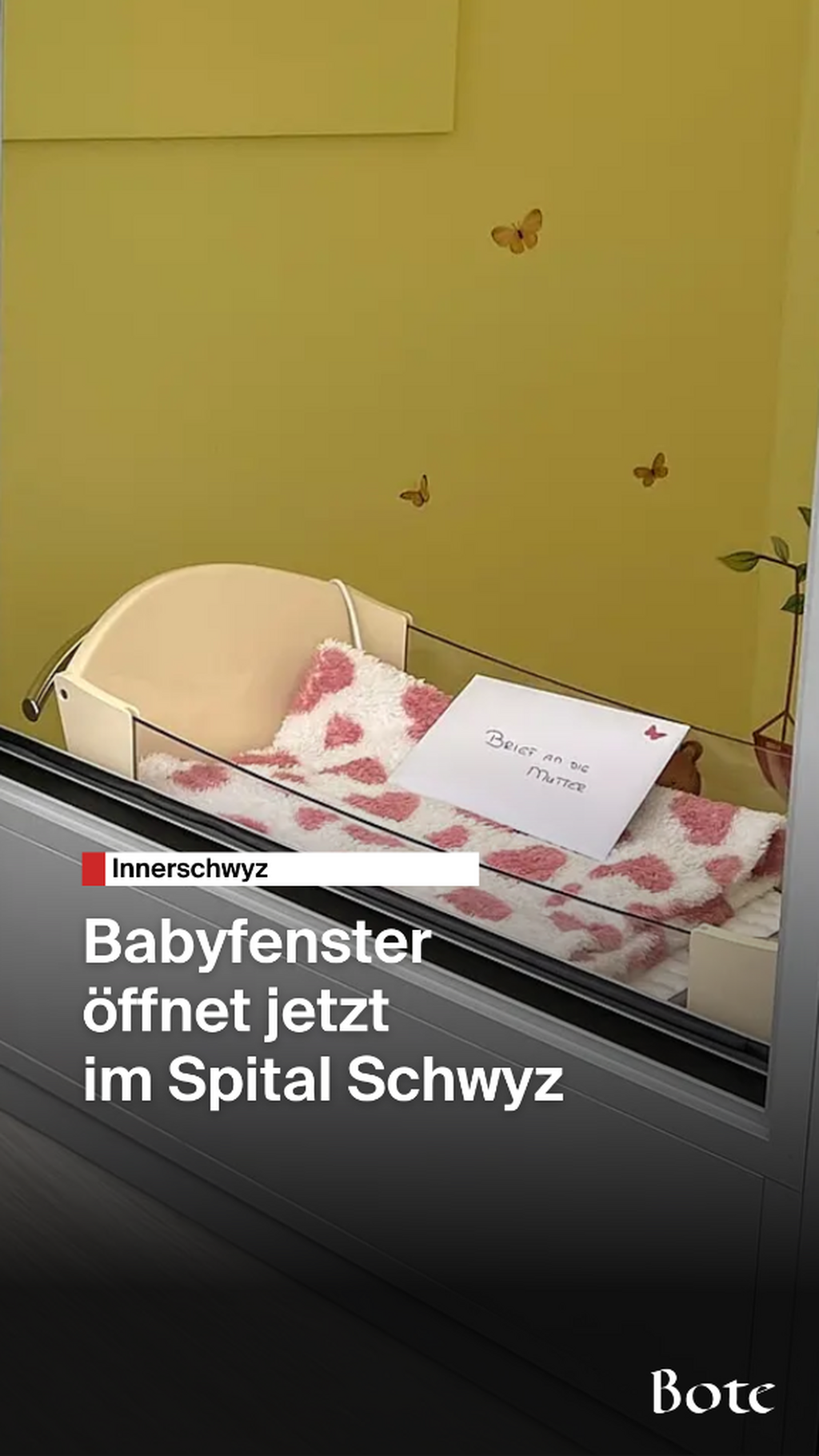 Babyfenster