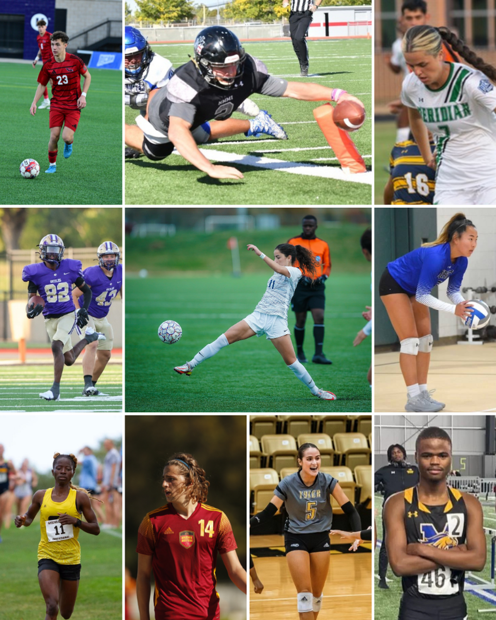 Fall Alumni NCAA Awards