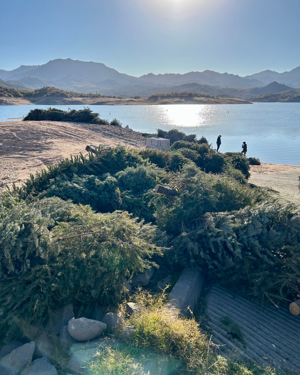 Christmas Tree Recycling
