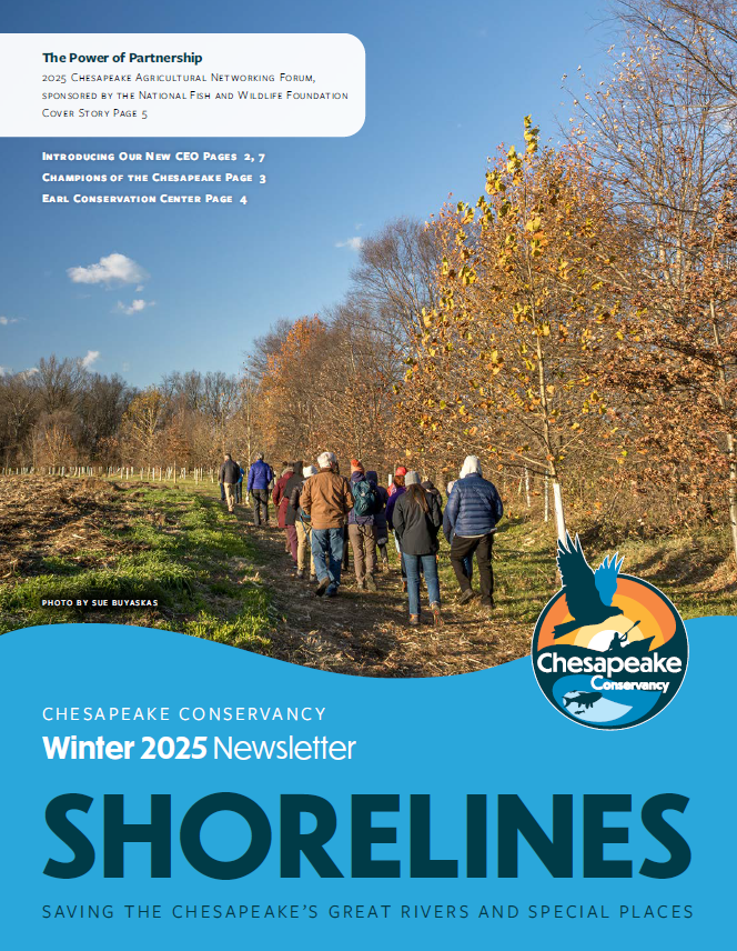 Shorelines Winter 2025