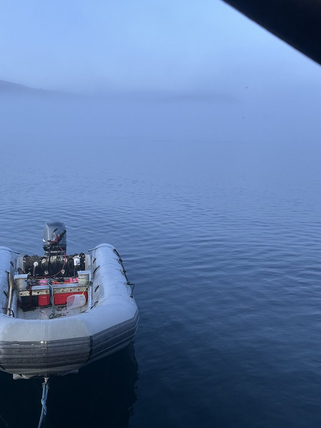 Boat-Based Blacktail Deer Hunts in Alaska: Tips, Tactics, and Must-Know Logistics &mdash; Blacktail Deer Foundation