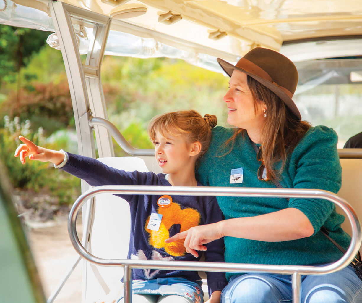 🚌 Melb: Kids 1/2 price Explorer Bus