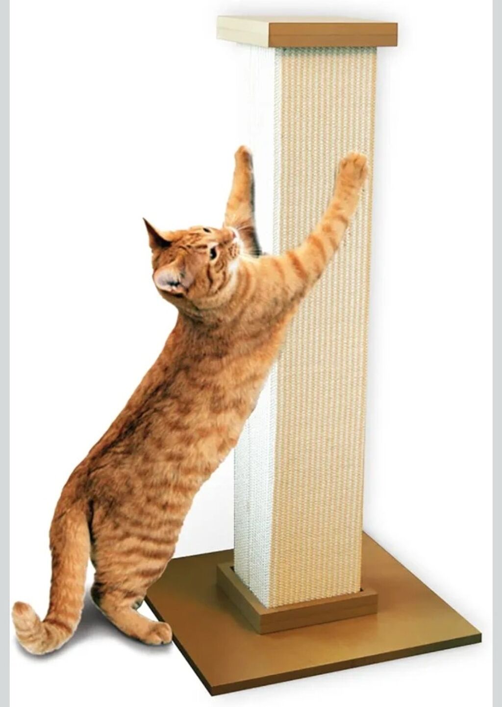 My cats favorite scratching post 🐾