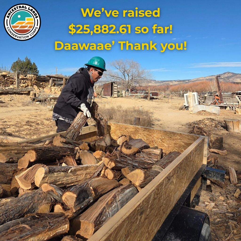 Acoma Elderly Firewood Distribution campaign