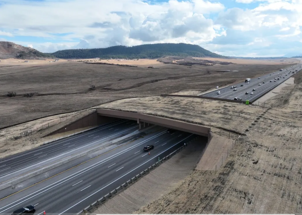 The Largest Wildlife Crossing in North America Just Opened to Critters in Colorado