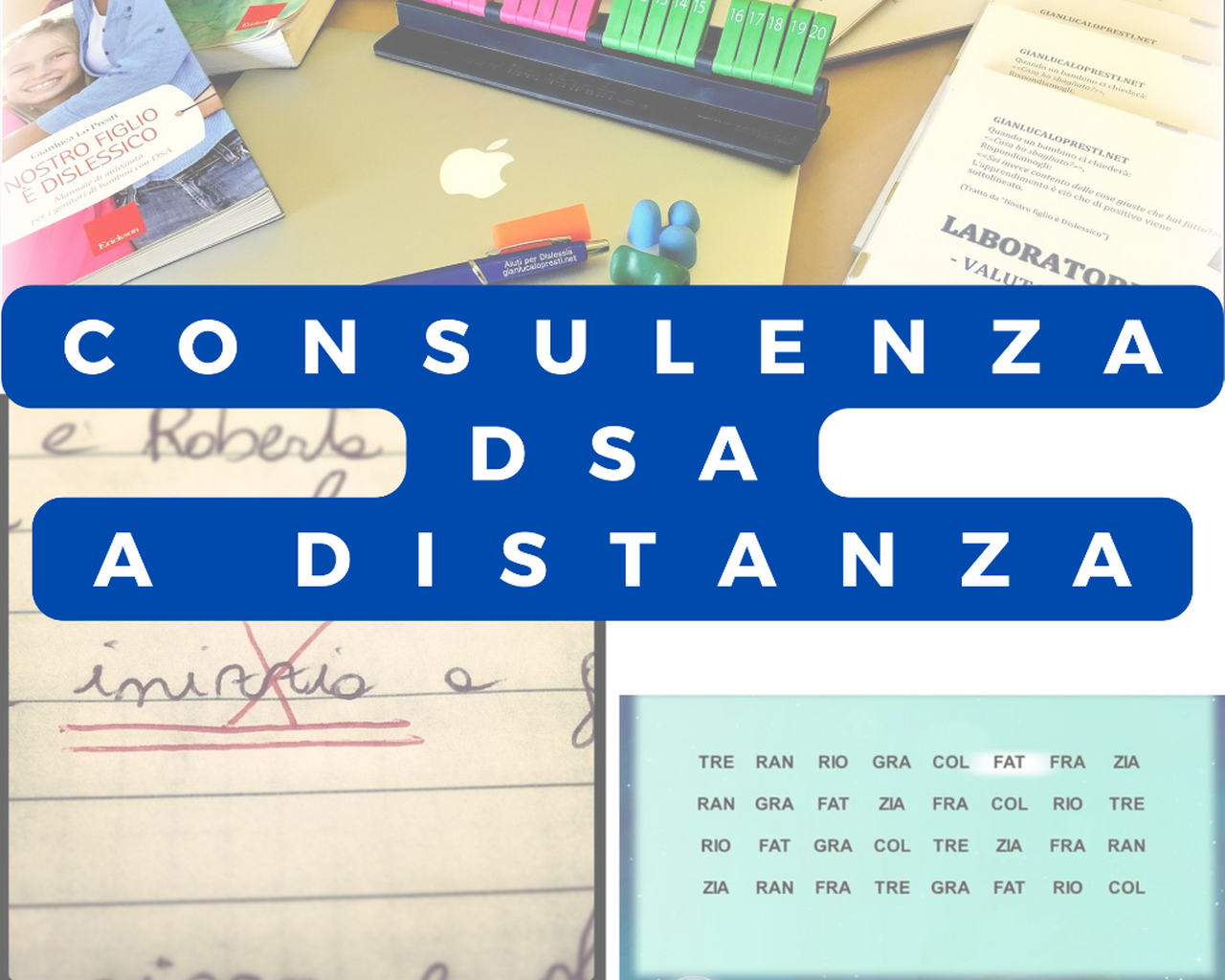 ➡️ Consulenza DSA a distanza