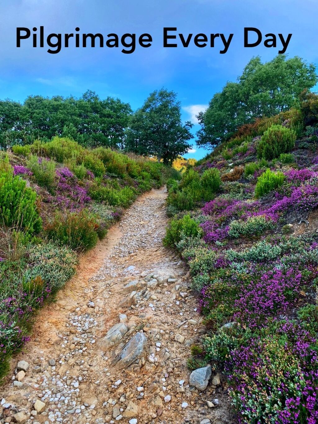 				 Pilgrimage Every Day 			