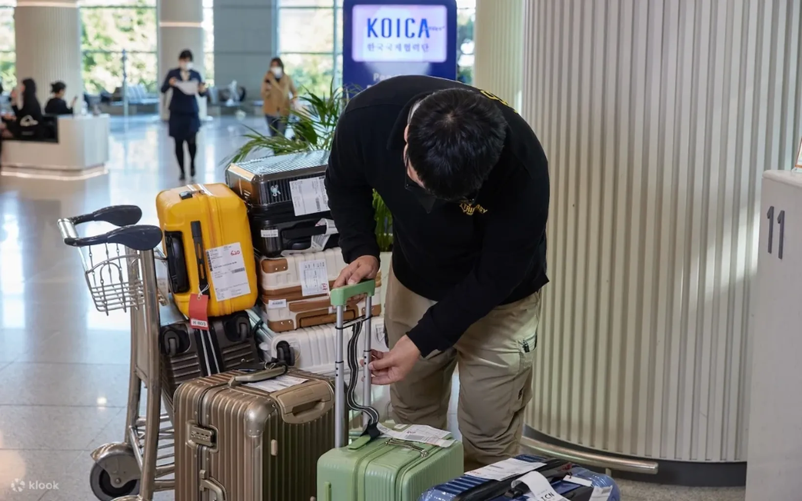 Jeju: Airport & downtown with LuggAgent
