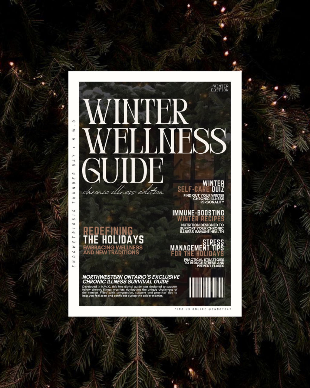 Chronic Illness Winter Survival Guide