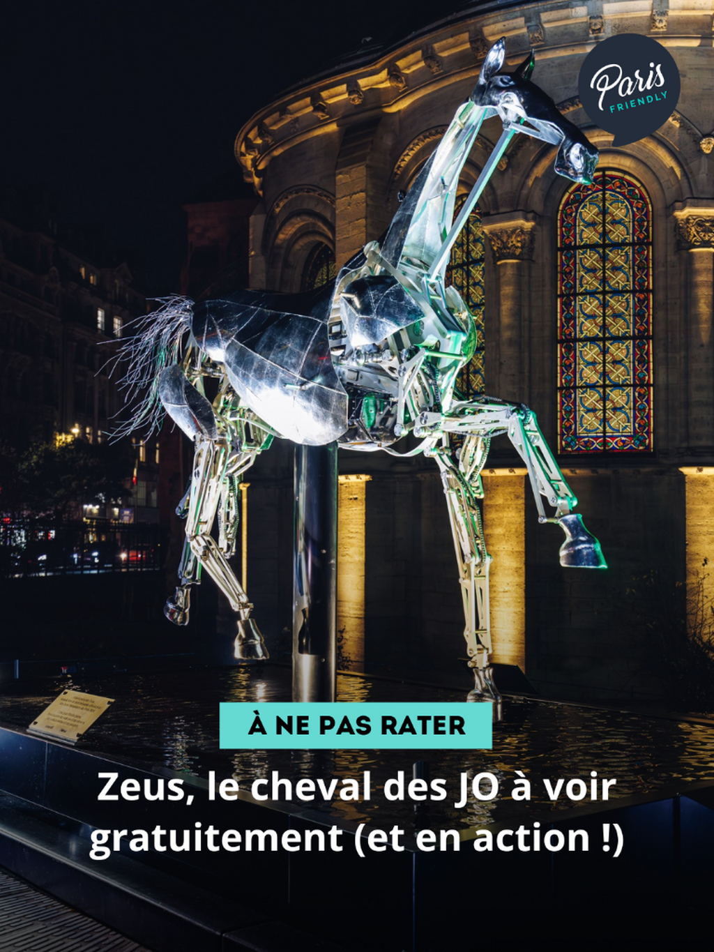 Zeus, le cheval des JO &agrave; voir gratuitement (et en action !)