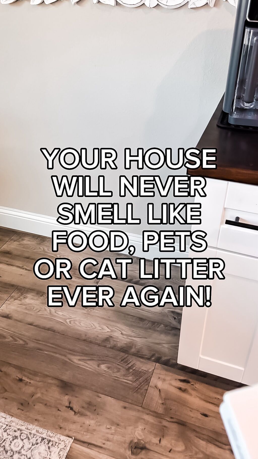 CLEAN AIR SOLUTION