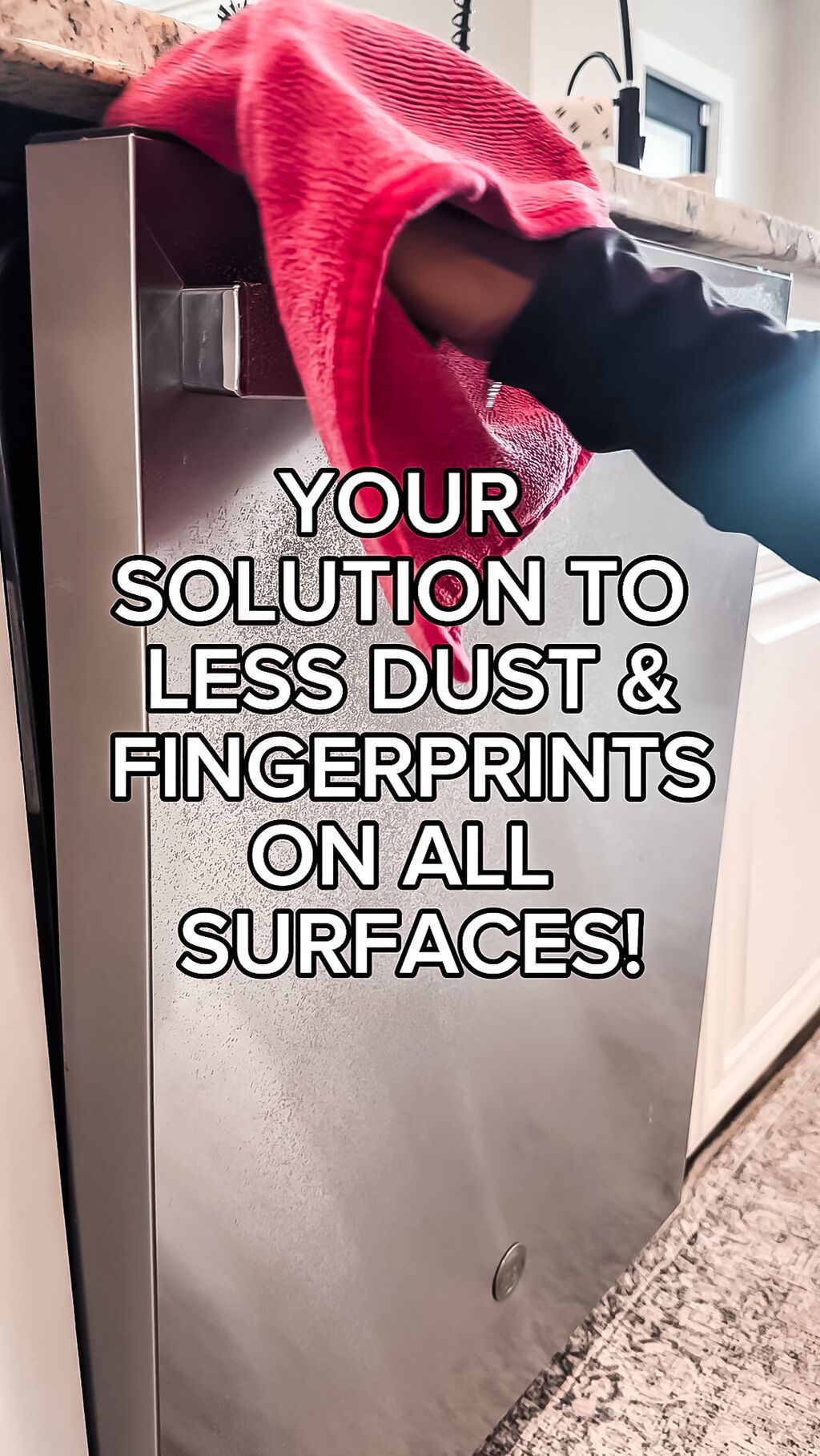 THE EVERYTHING CLEANER