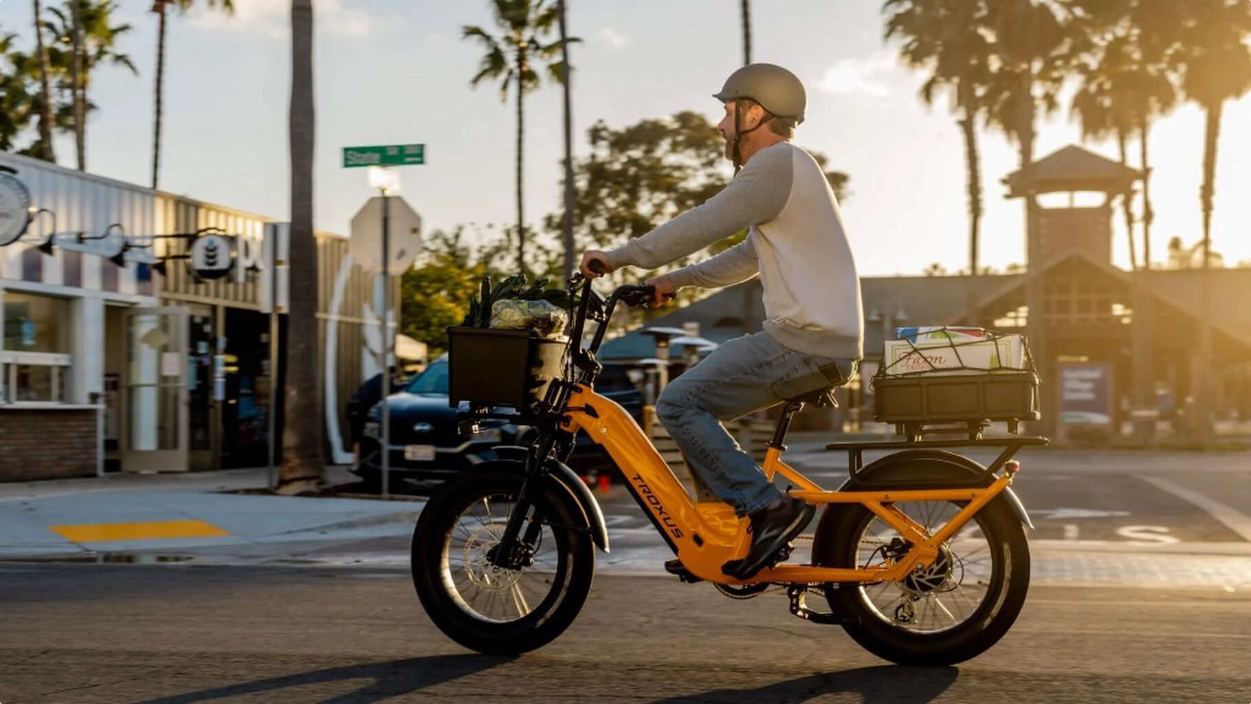 Troxus Lynx Cargo E-Bike Review